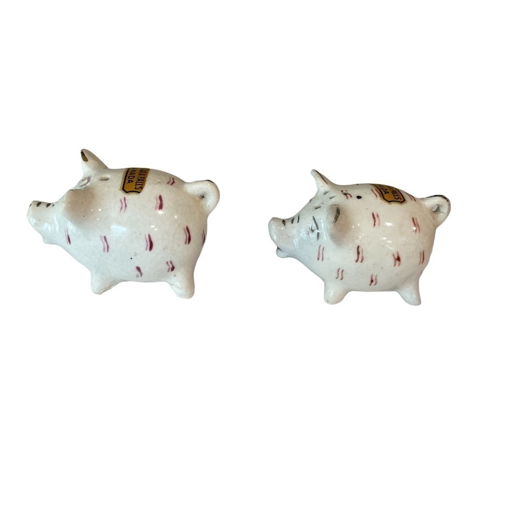 Vintage Pig Niagara Falls Canada Salt and Pepper Shakers